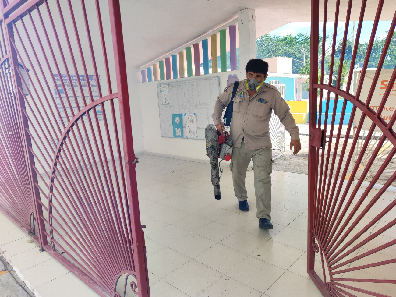 Vecinos de la Reg.  255 dijeron que hace  tiempo que no hay fumigación en la zona