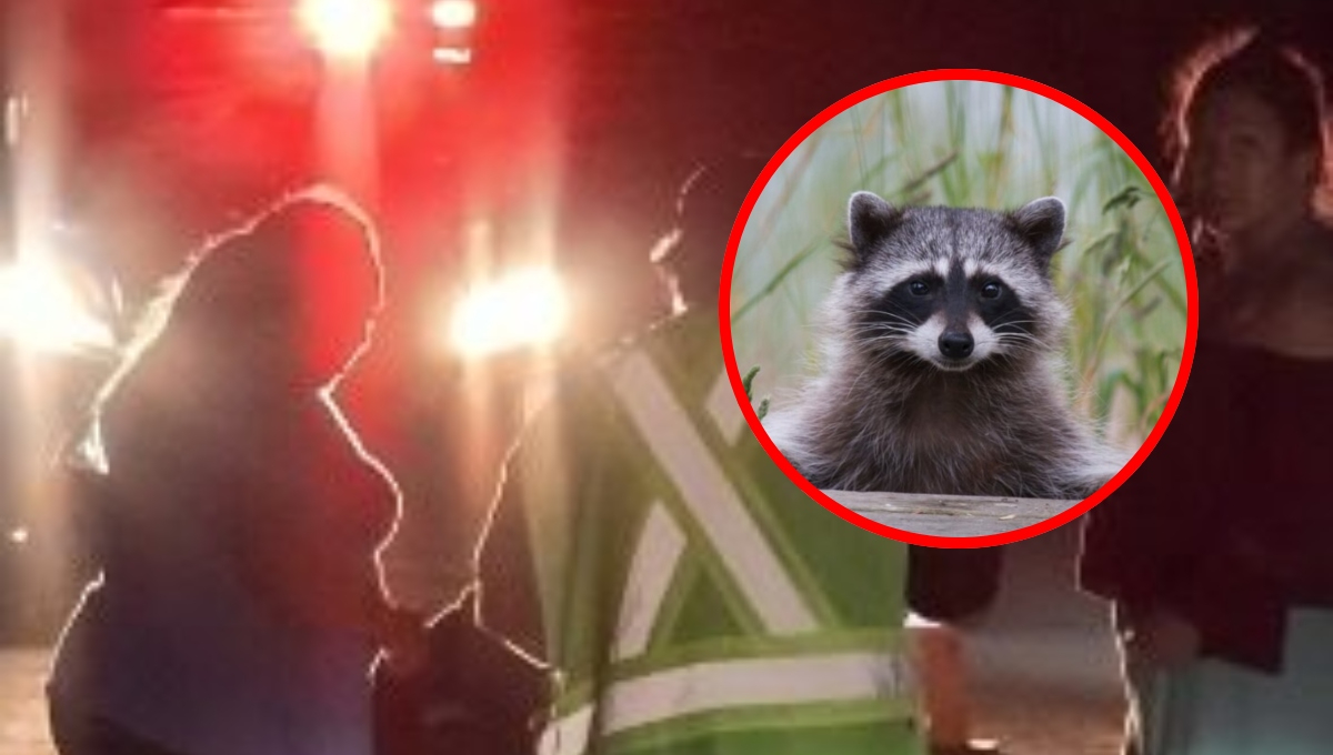 El motociclista fue atendido por paramédicos tras el accidente