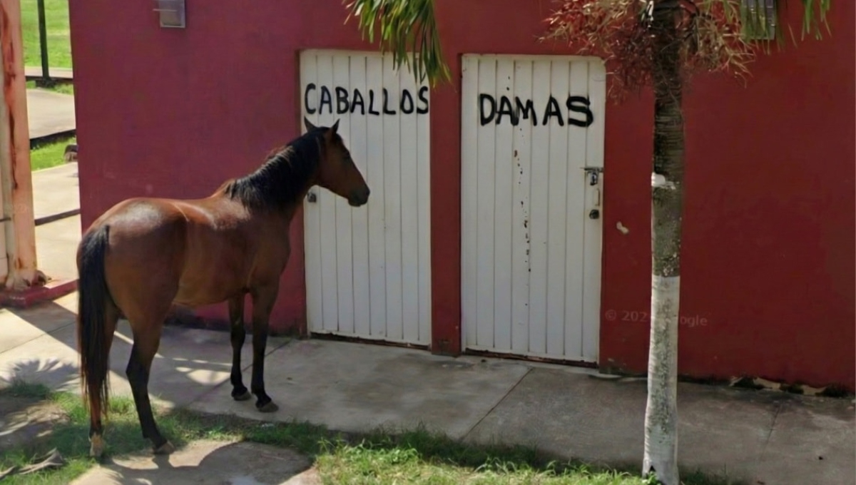 El peculiar sitio se ubica en Santa Cruz Pachón, localidad perteneciente al Pueblo Mágico de Motul
