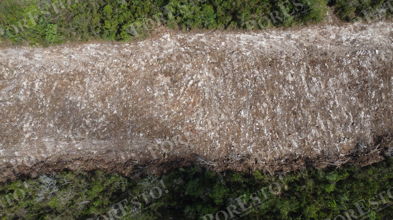 Una ciudadana de Puerto Morelos denunció un proyecto inmobiliario