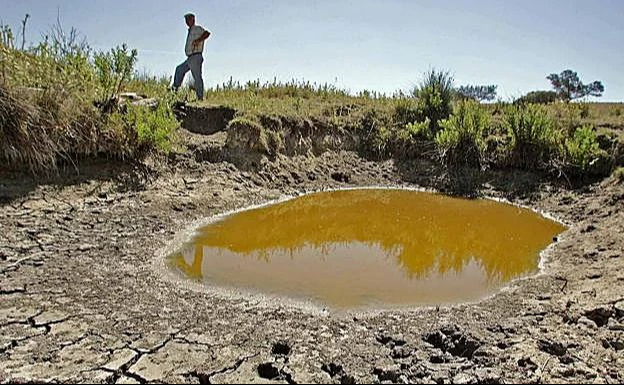 Alertan caída del acuífero en Yucatán; ganaderos de Hopelchén siguen sin pozos ni jagüeyes