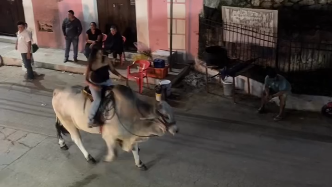 Durante una cabalgata en Acanceh una mujer se volvió viral tras montar un cebú