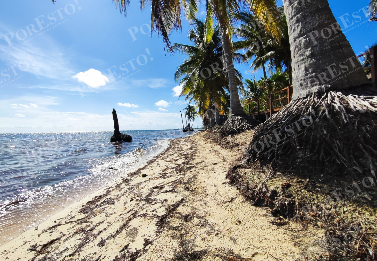 En la Playa Coral se detecta el grave estado de la erosión