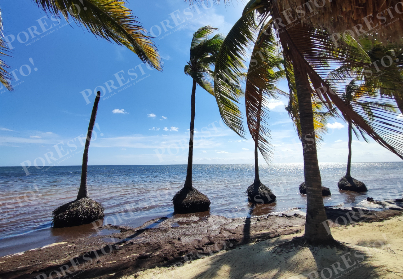 La actualización de un registro de ocupación de zonas costeras para evitar impactos por desarrollo urbano