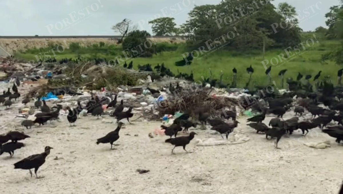 Turistas y locales afectados por contaminación en basurero cercano al Tren Maya