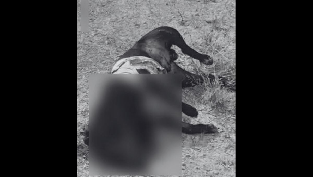 El presidente municipal, José María Castro Félix, no tenía conocimiento previo de los hechos denunciados