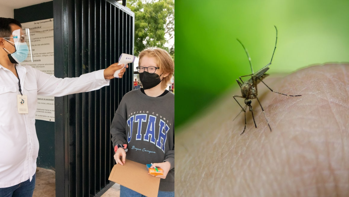 La región vive semanas de alarma: los contagios de chikungunya, dengue, influenza, zika y COVID-19 han aumentado