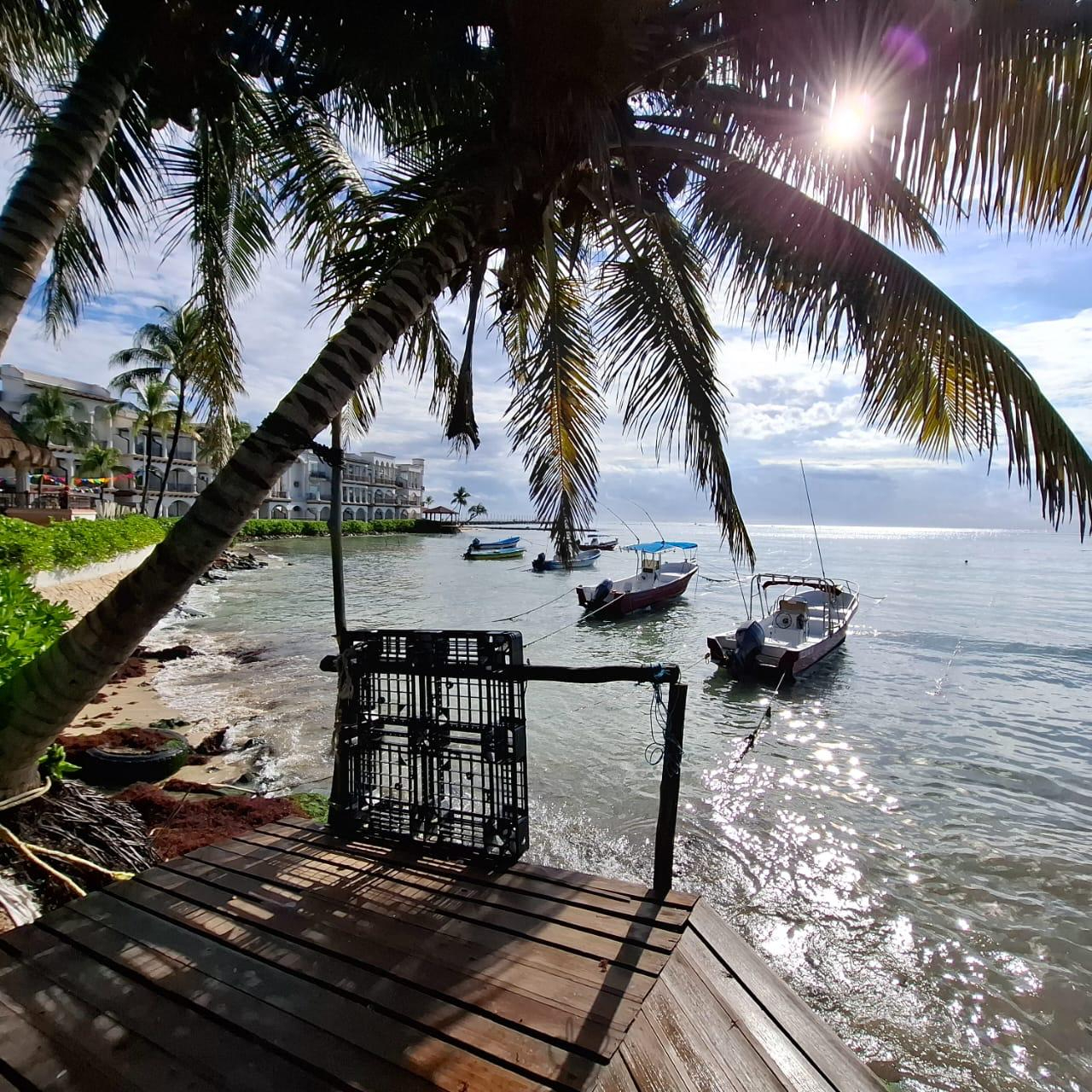 La venta de productos del mar ha sido el sustento de familias ante la caída del turismo