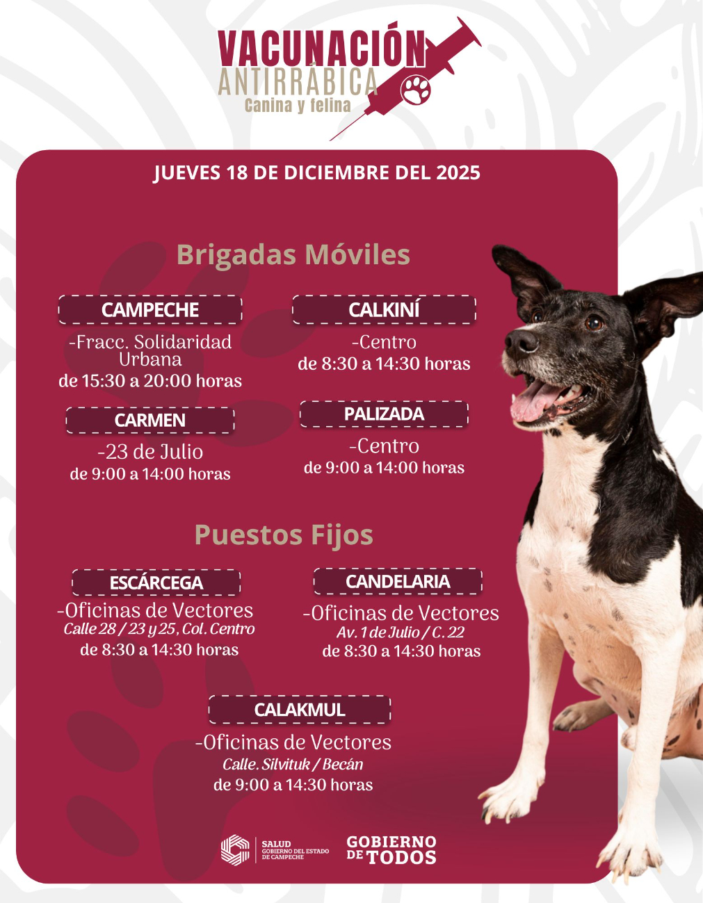 Brigadas móviles y puestos fijos operan en Campeche, Carmen, Calkiní, Palizada, Escárcega, Candelaria y Calakmul.