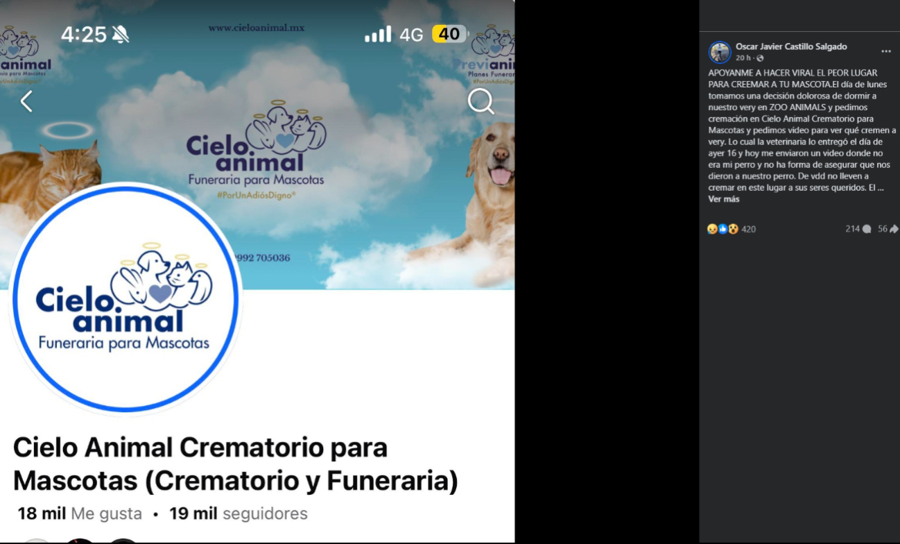 Señalan posible negligencia en crematorio de mascotas de Mérida