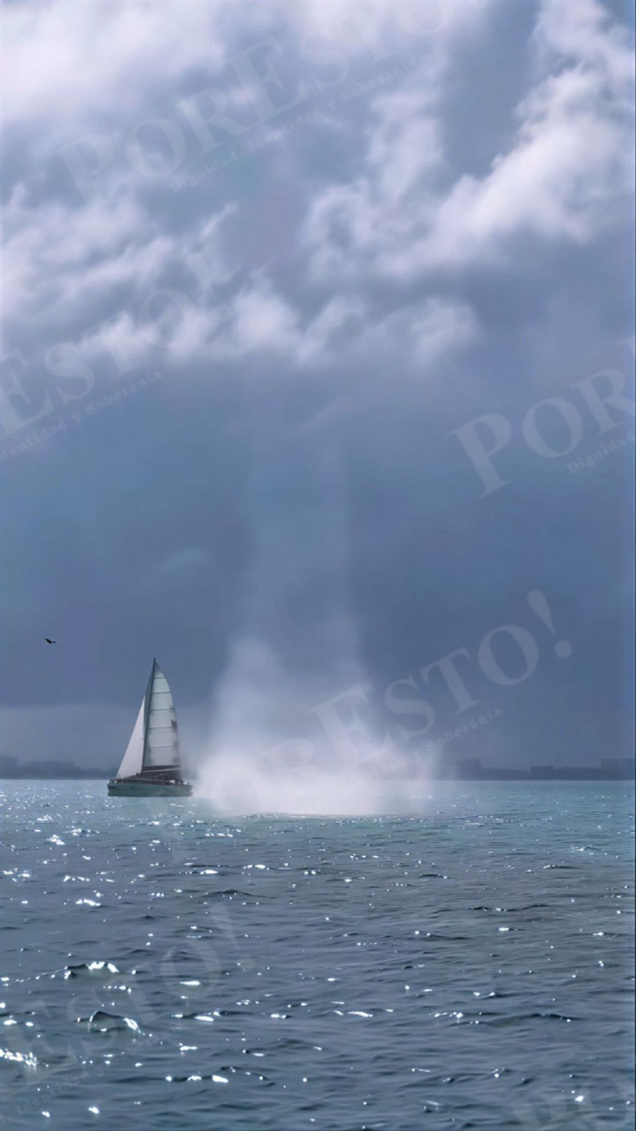 El fenómeno en altamar sorprendió a navegantes y testigos en el lugar.
