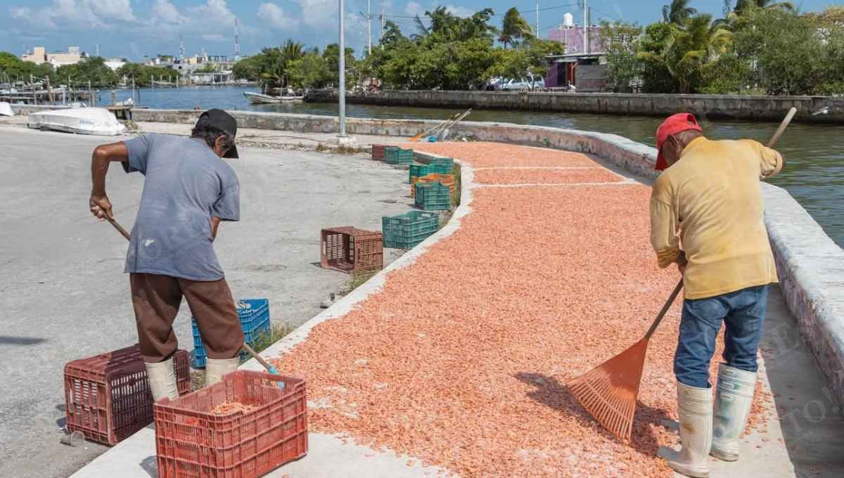 Pescadores de Arroyo Grande denunciaron prácticas insalubres en el malecón, donde otros pescadores usan las banquetas como secadero improvisado de camarón.