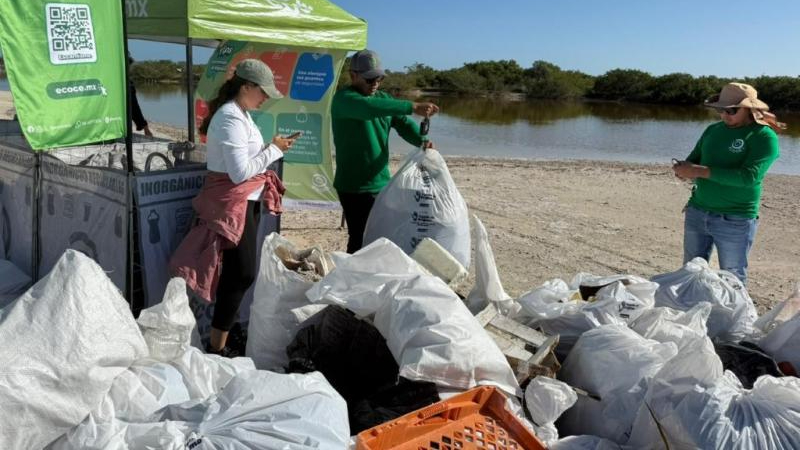 Autoridades y asociaciones recolectan en 2025 más de 33 toneladas de desechos en las playas