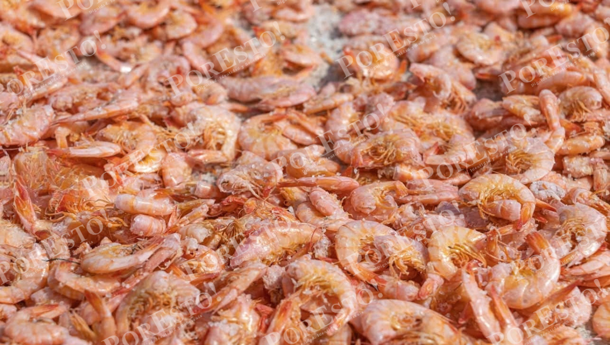 La sal usada en el proceso también está dañando las banquetas del malecón.