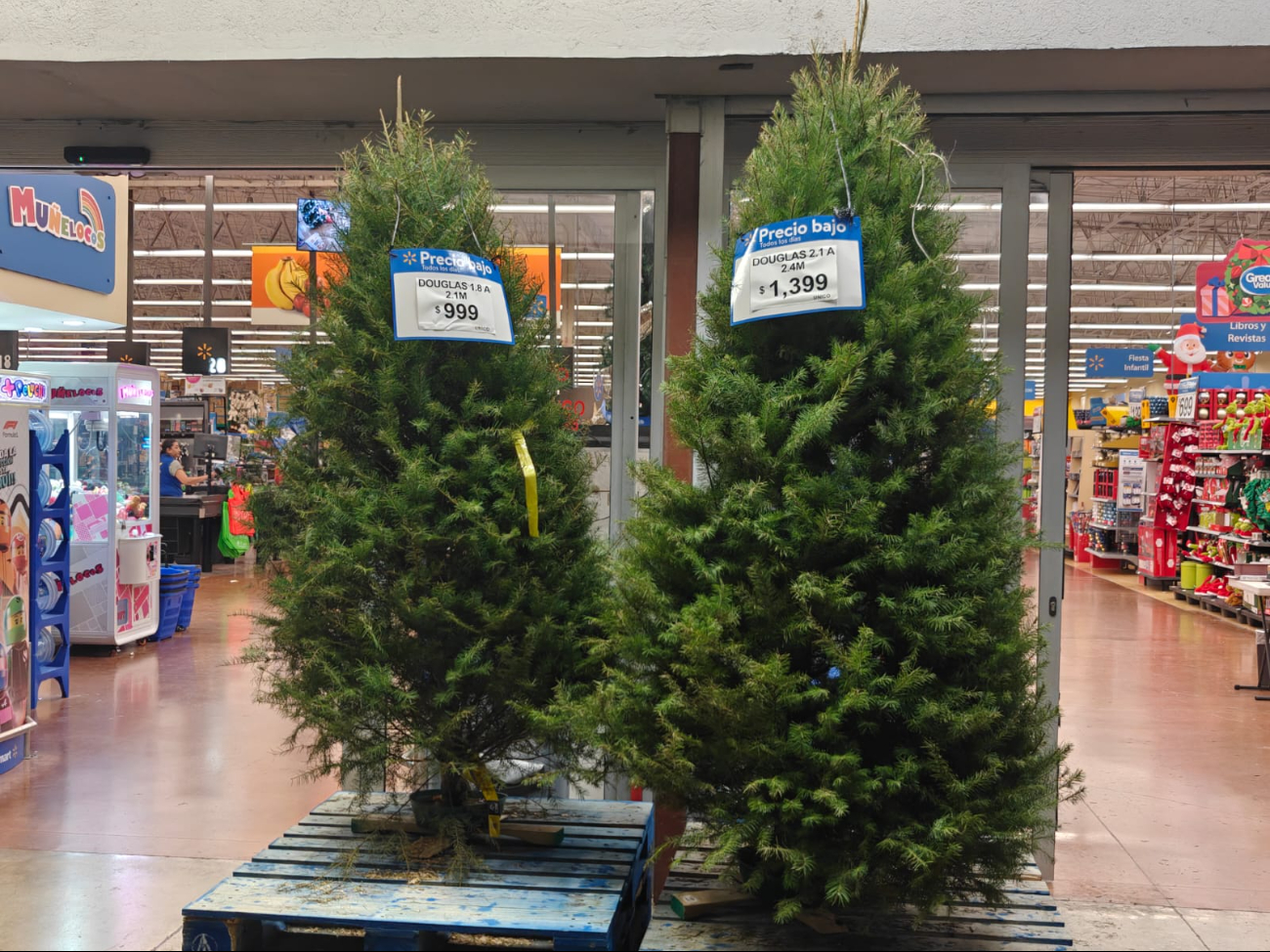 Los árboles naturales van de 1,000 a 1,400 pesos en supermercados.