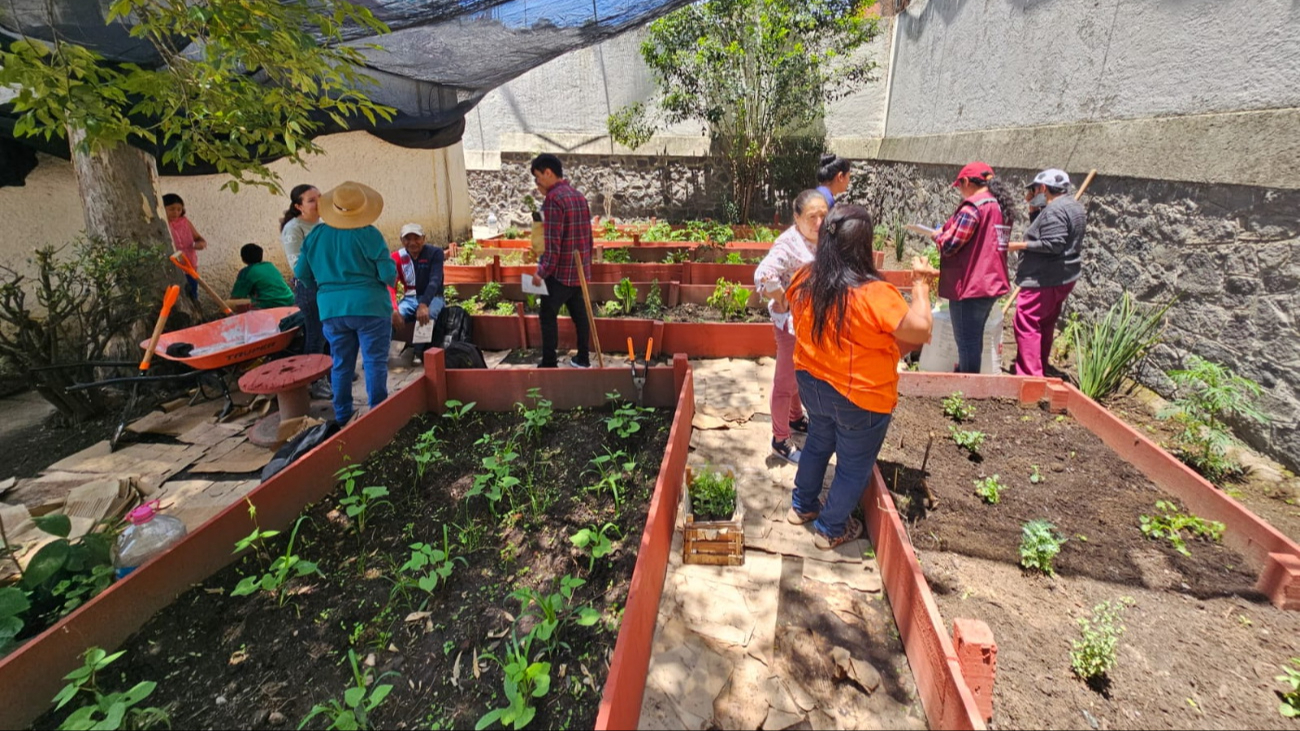Los huertos de traspatio llevan bienestar al medio rural