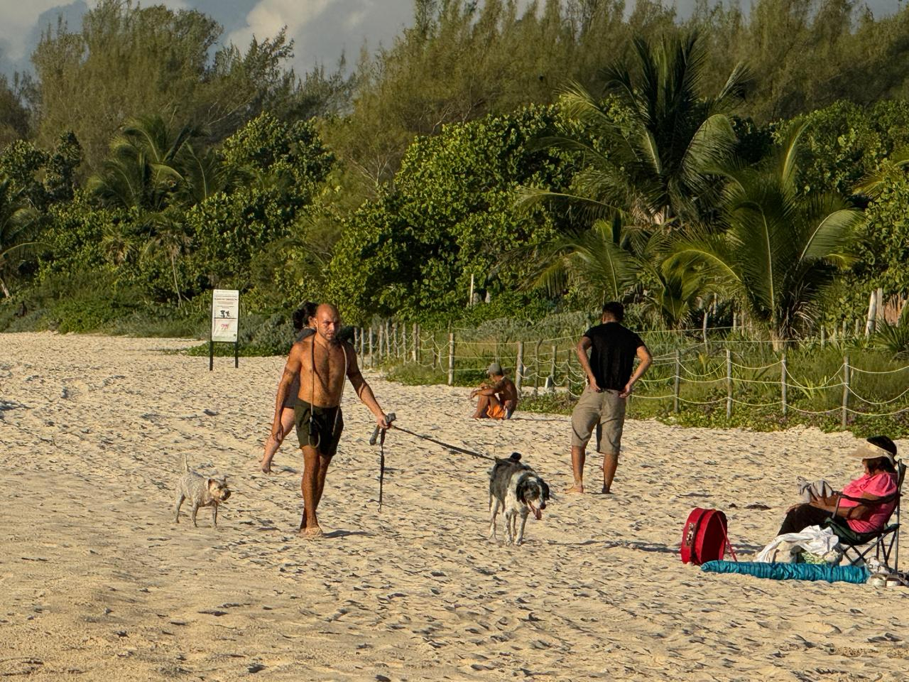 Muchos dueños no se hacen responsables de las heces de sus mascotas