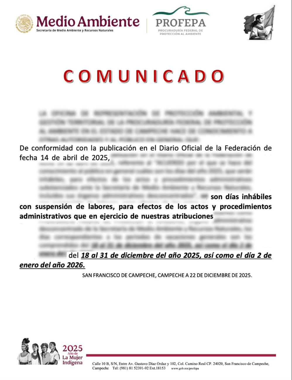 Portaban identificaciones falsas y colocaron sellos apócrifos de clausura.