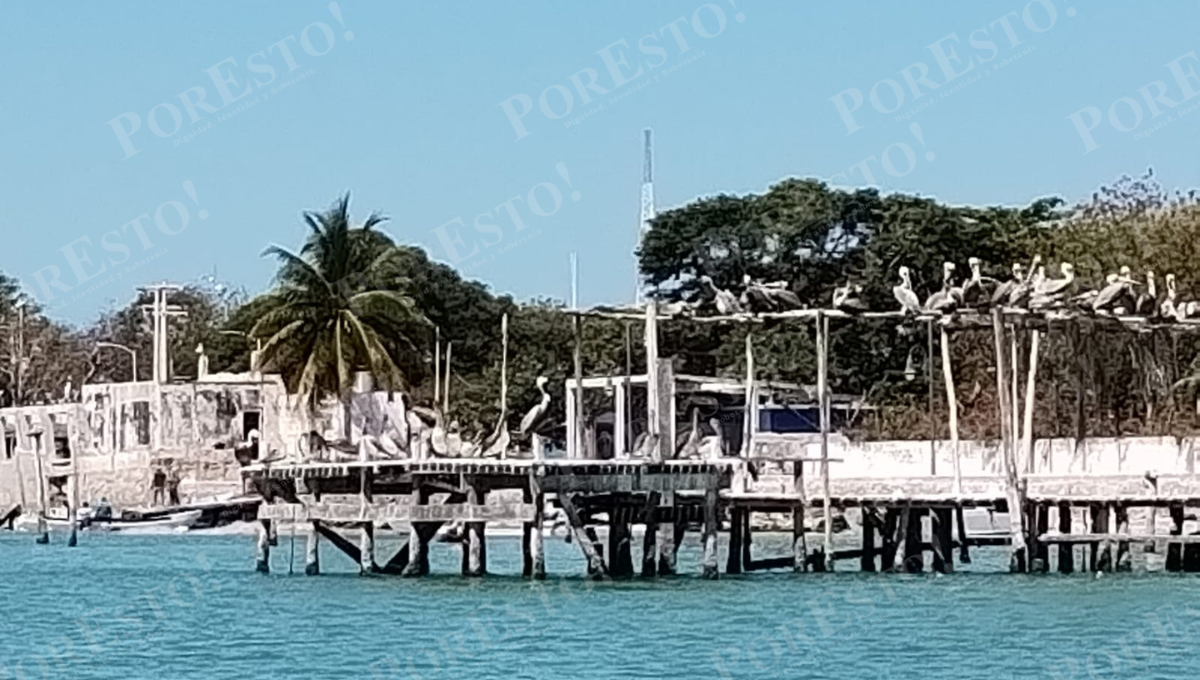 La obra fue cancelada hace dos años por falta de permisos, pero PEMEX se comprometió a retomarla.