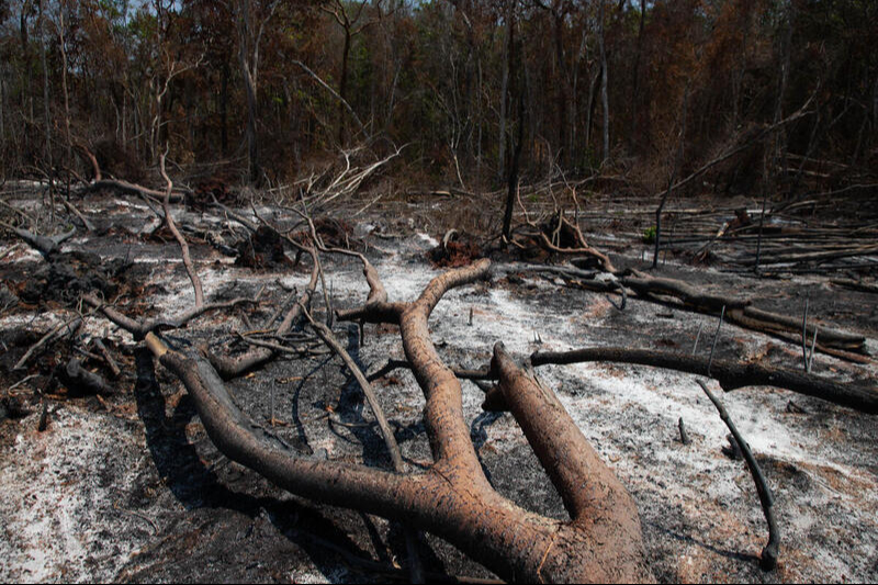 Biólogo de la Uacam advierte sobre ecocidio y contaminación del agua en Campeche