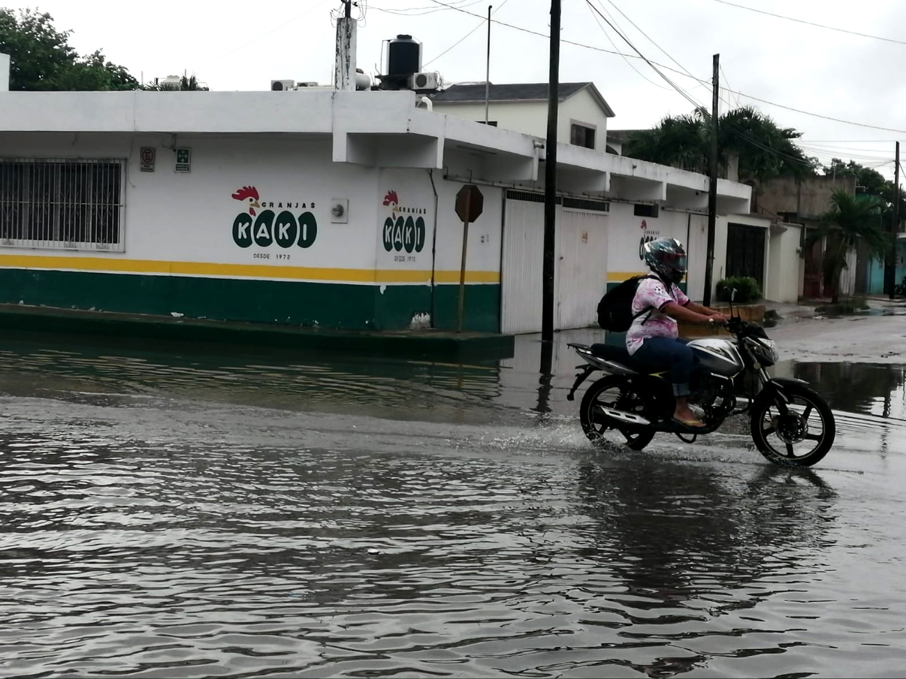 Familias de la colonia El Encanto criticaron la falta de estrategias ante los temporales