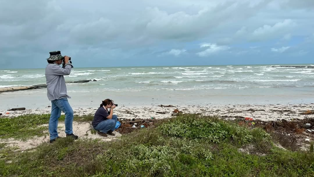 Amantes de la ornitofauna podrán observar ejemplares emplumados de la reserva de Ría Lagartos