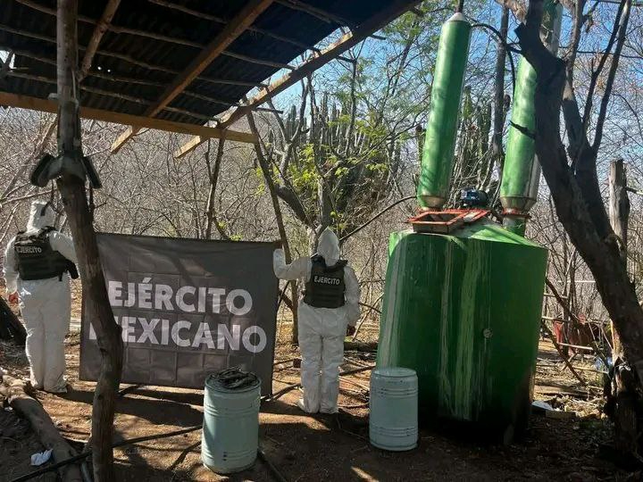 Elementos de la Guardia Nacional y Ejército Mexicano aseguraron un laboratorio clandestino.