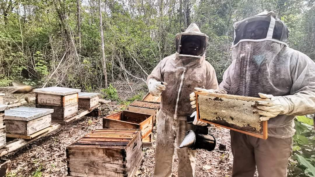 Apicultores de la región confían en que el precio de la próxima cosecha les deje adecuadas ganancias