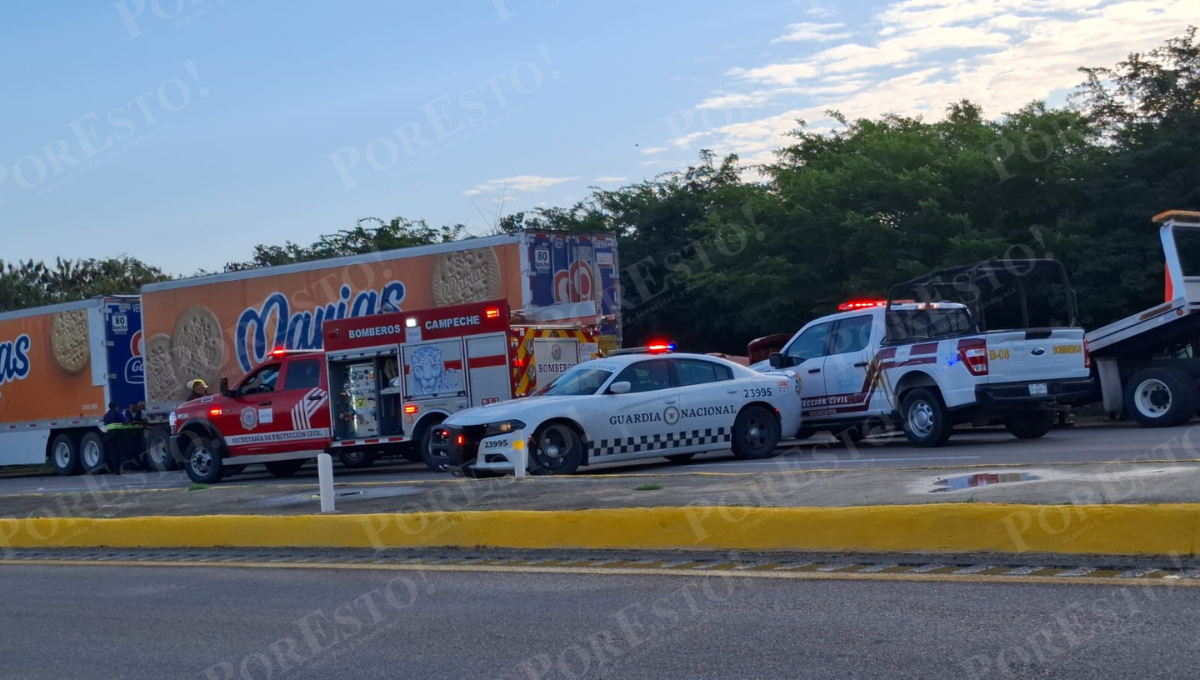 El exceso de velocidad y las distracciones al volante son factores recurrentes.