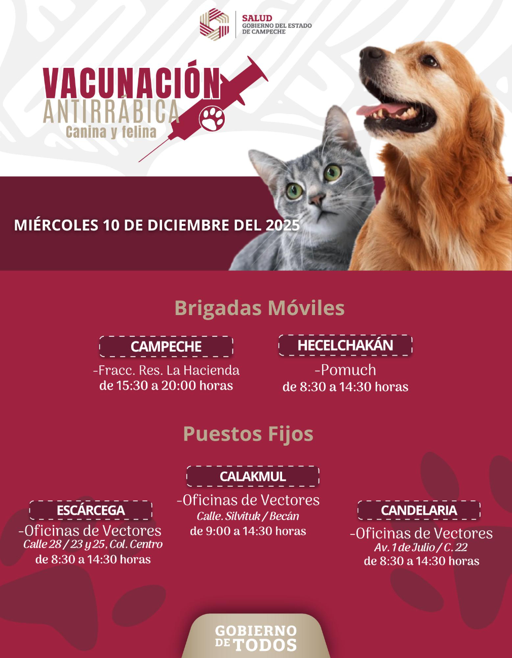 Habrá brigadas móviles en Campeche y Hecelchakán, y puestos fijos en Escárcega, Calakmul y Candelaria.