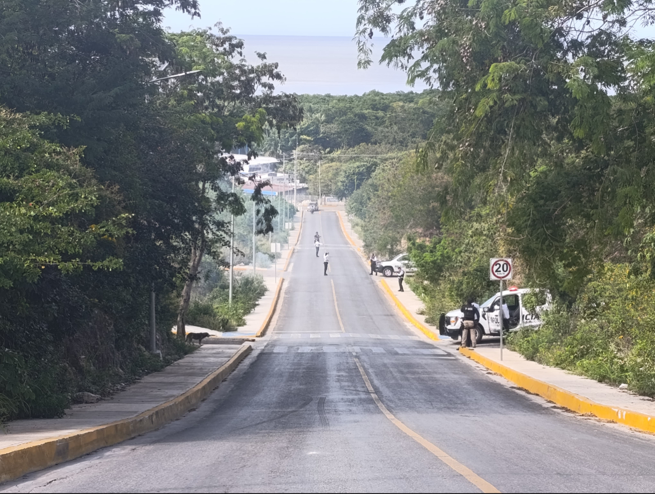 Incendio de maleza y basura cierra el Sendero Seguro en Campeche
