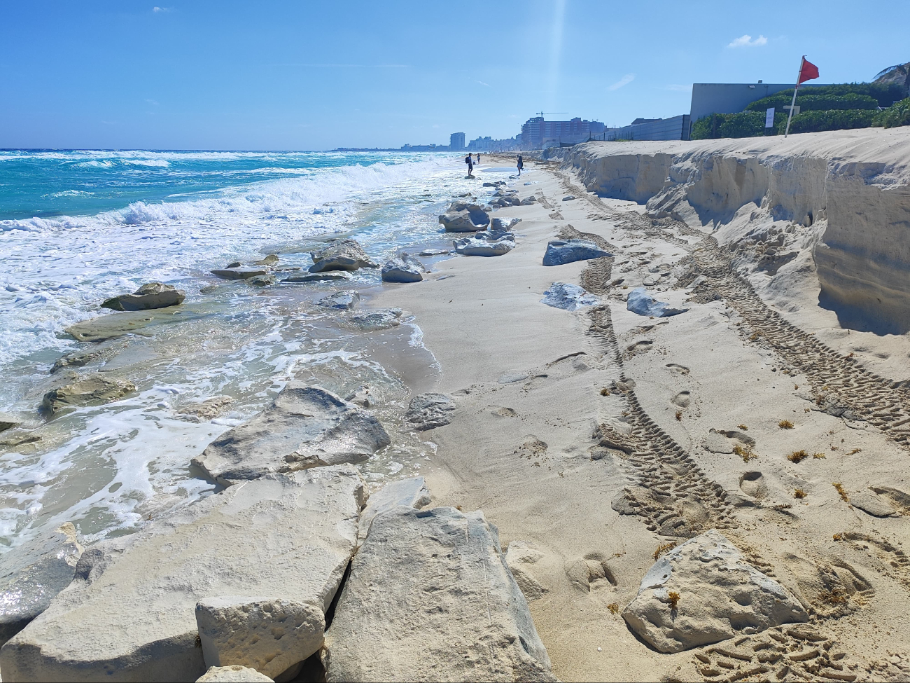 La erosión costera y las condiciones climáticas adversas ponen en riesgo los nidos de tortugas marinas La erosión costera y las condiciones climáticas adversas ponen en riesgo los nidos de tortugas marinas