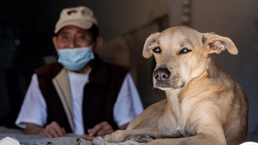 Esta es la  historia de "Queeny", la perrita que atiende una papelería en Mérida 