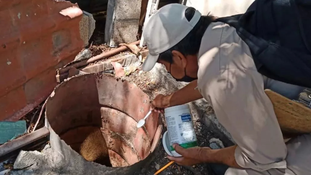 Secretaría de Salud de Campeche despliega control larvario en municipios con riesgo de dengue
Secretaría de Salud de Campeche despliega control larvario en municipios con riesgo de dengue