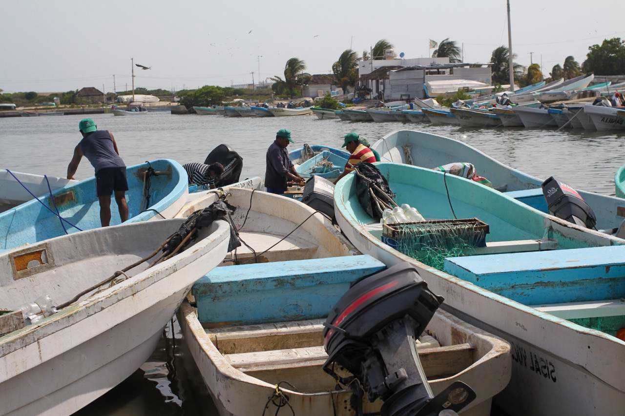 Desde mañana, se repartirán unos 65 millones de pesos entre 12 mil trabajadores del mar en Yucatán Desde mañana, se repartirán unos 65 millones de pesos entre 12 mil trabajadores del mar en Yucatán
