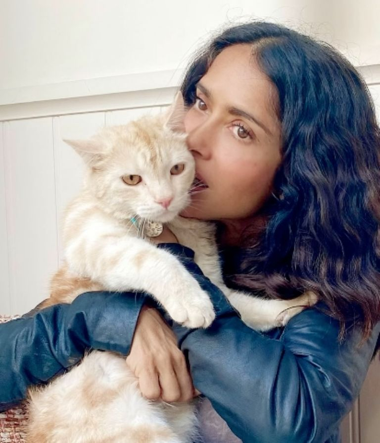 Salma Hayek divide opiniones en redes por video de su gato cazador                                                                                     
