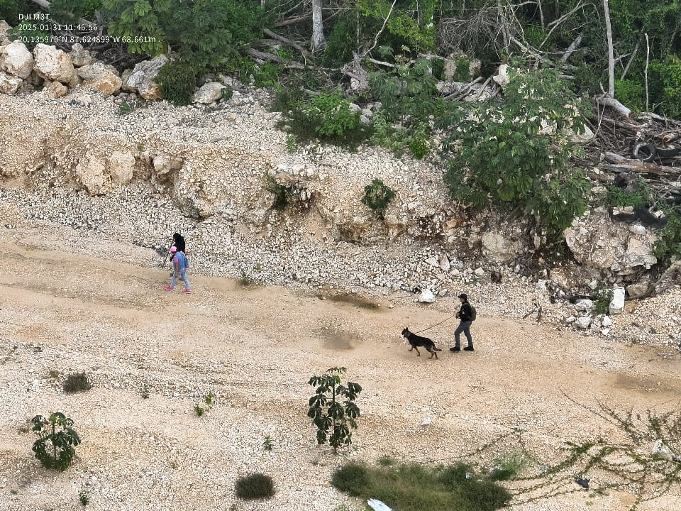 De agosto a febrero suman 926 alertas, de las que 817 personas fueron localizadas a salvo De agosto a febrero suman 926 alertas, de las que 817 personas fueron localizadas a salvo