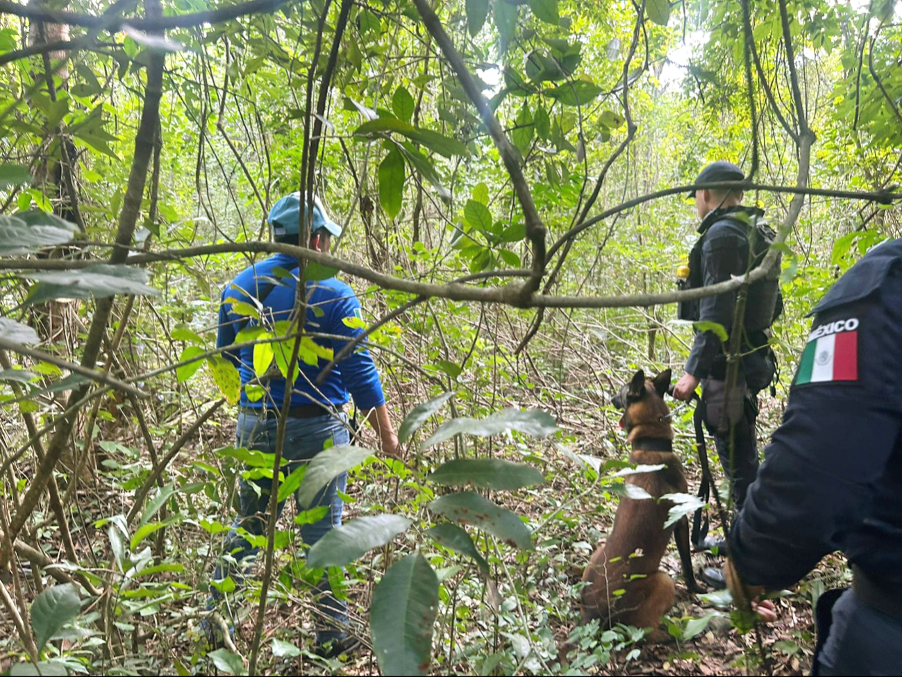 Más de 30  fichas de búsqueda de personas desaparecidas siguen activas en Quintana Roo: FGE