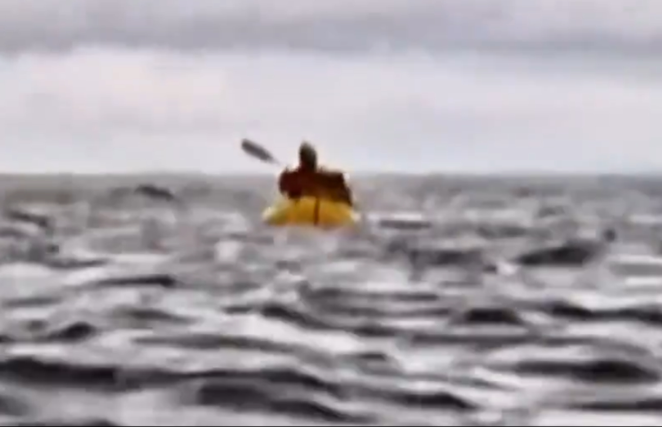 Joven es tragado por una ballena en Chile Joven es tragado por una ballena en Chile