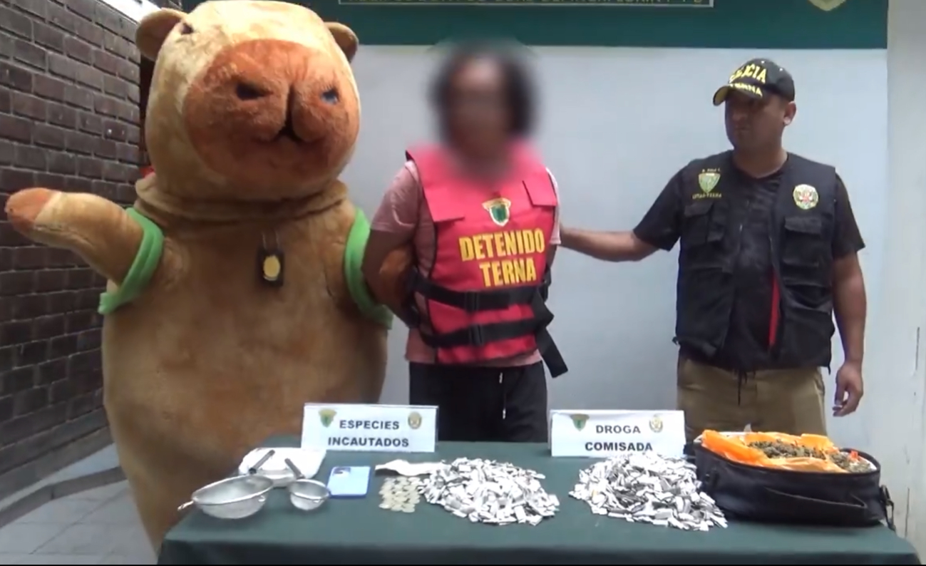 Disfrazado de capibara detiene a un narcotraficante en Perú Disfrazado de capibara detiene a un narcotraficante en Perú
