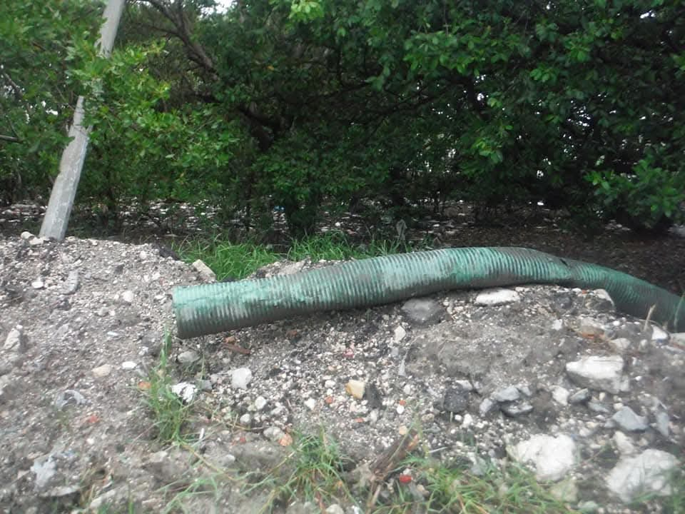 presentaron evidencias de contaminación del brazo de agua de La Caleta presentaron evidencias de contaminación del brazo de agua de La Caleta