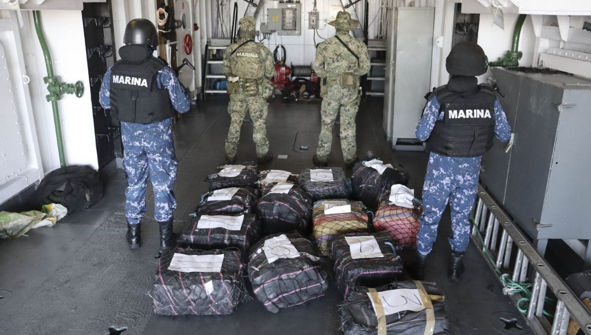 Autoridades desmantelan laboratorios clandestinos y erradican plantíos de droga en cinco estados