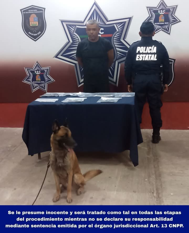 Binomio canino detecta a narcomenudista en Chetumal