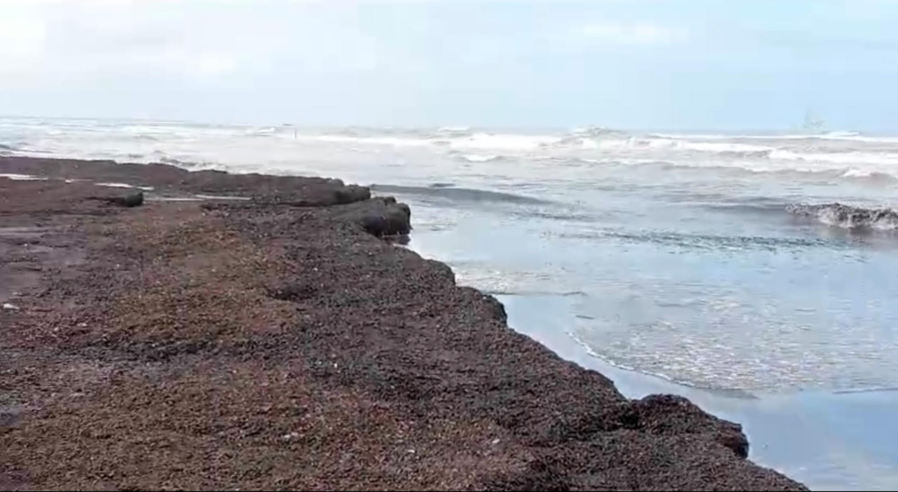 Desechos pétreos afectan especies protegidas en Laguna de Términos y Pantanos de Centla. Desechos pétreos afectan especies protegidas en Laguna de Términos y Pantanos de Centla.
