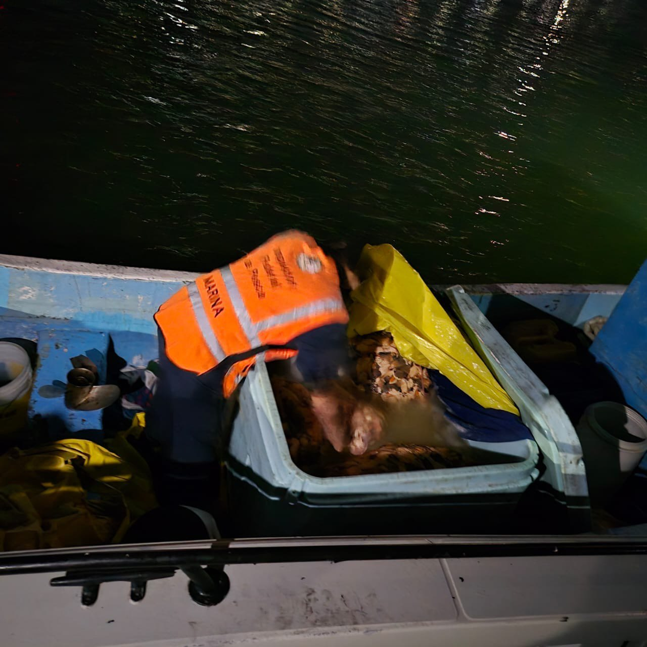 Decomisan caracol y mero por su captura ilegal en Progreso; hay cuatro detenidos