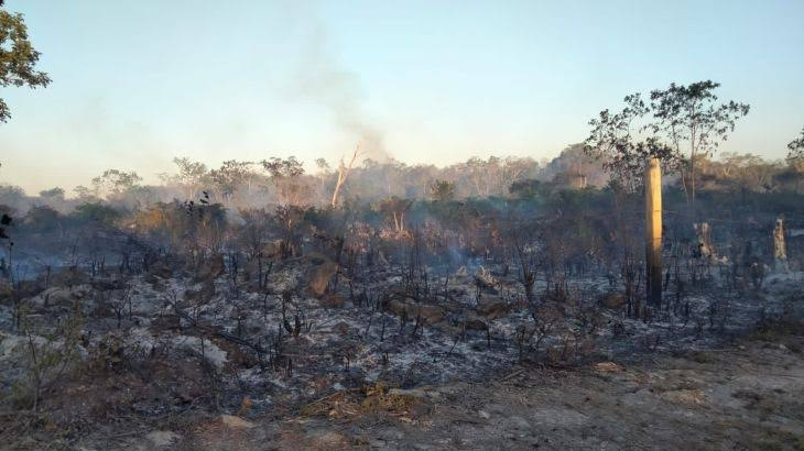 Denuncian quemas anticipadas en los alrededores de Mahahual, Chetumal