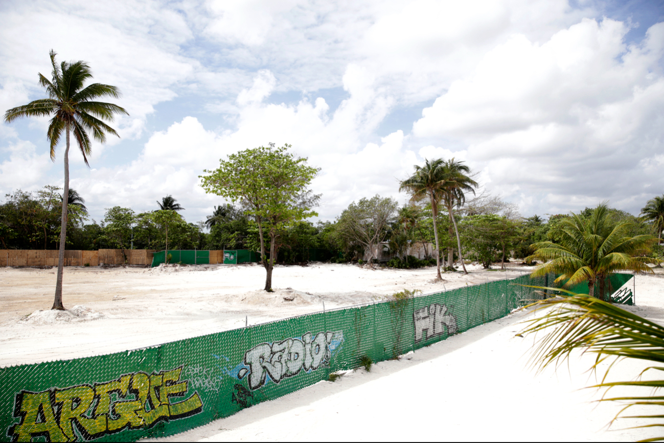 No se sabe qué proyecto desarrollarán en el lugar, donde sólo quedaron algunas palmeras No se sabe qué proyecto desarrollarán en el lugar, donde sólo quedaron algunas palmeras