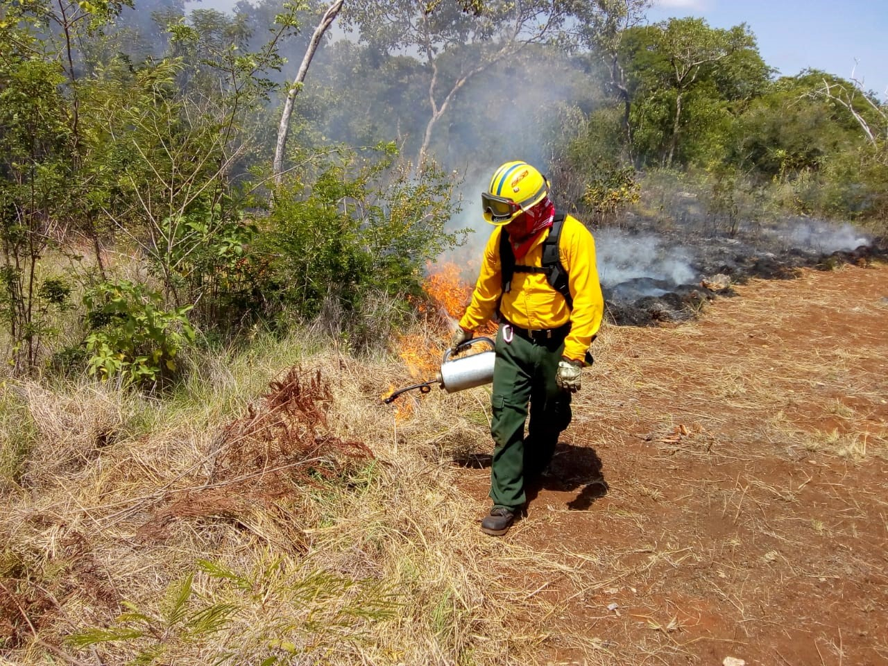 Se registra el primer incendio forestal en Campeche; afectó 90 hectáreas