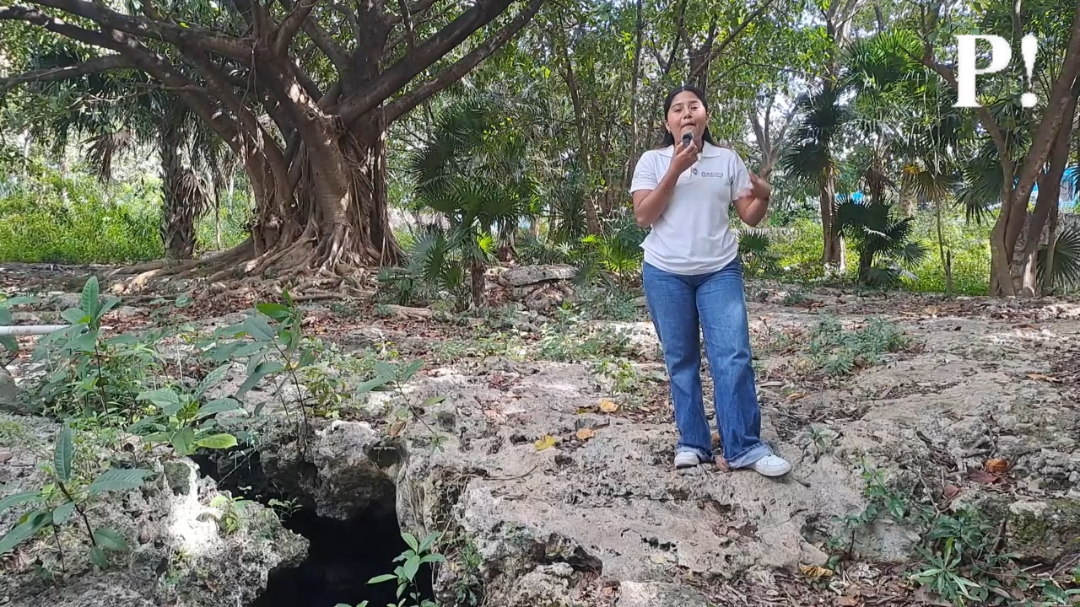 La falta de vigilancia y cuidado en dicha área para evitar su contaminación, podrá causar daños al ecosistema