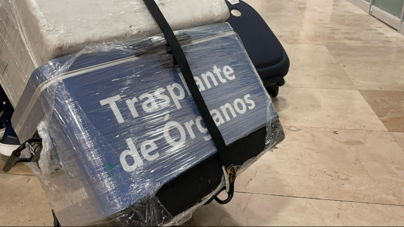Los órganos donados fueron trasladados a diferentes estados del país Los órganos donados fueron trasladados a diferentes estados del país